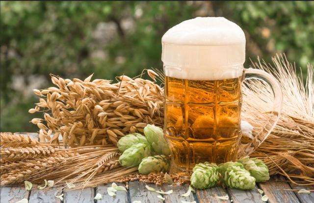 豪魯精釀啤酒原料供應 豪魯精釀啤酒原料供應